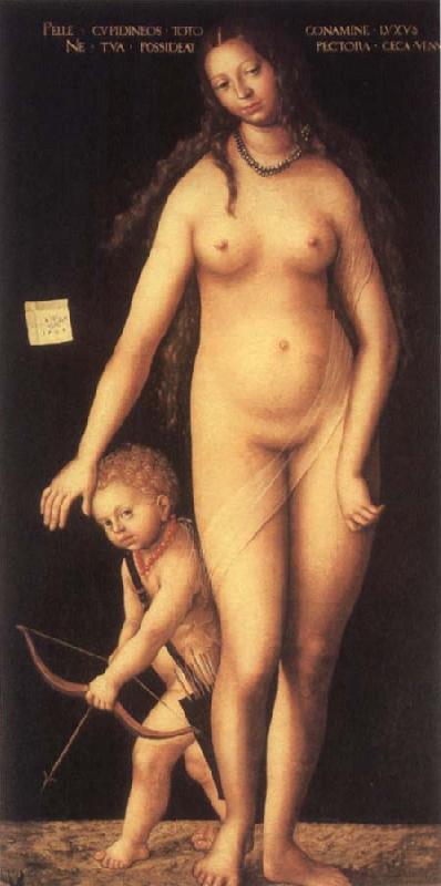 Lucas Cranach the Elder Venus and Cupid Spain oil painting art